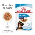 ANIALHOUSE-Royal Canin Maxi Puppy En Sauce2