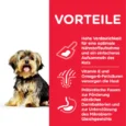 ANIMALHOUSE-HILL'S Science Plan Small And Mini Adult Sensitive Stomach And Skin Poulet3