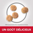 ANIMALHOUSE-HILL'S Science Plan Small And Mini Adult Sensitive Stomach And Skin Poulet4