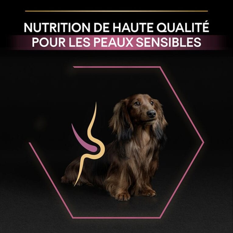 ANIMALHOUSE-Pro Plan Small And Mini Adult Sensitive Skin Avec Optiderma Saumon5