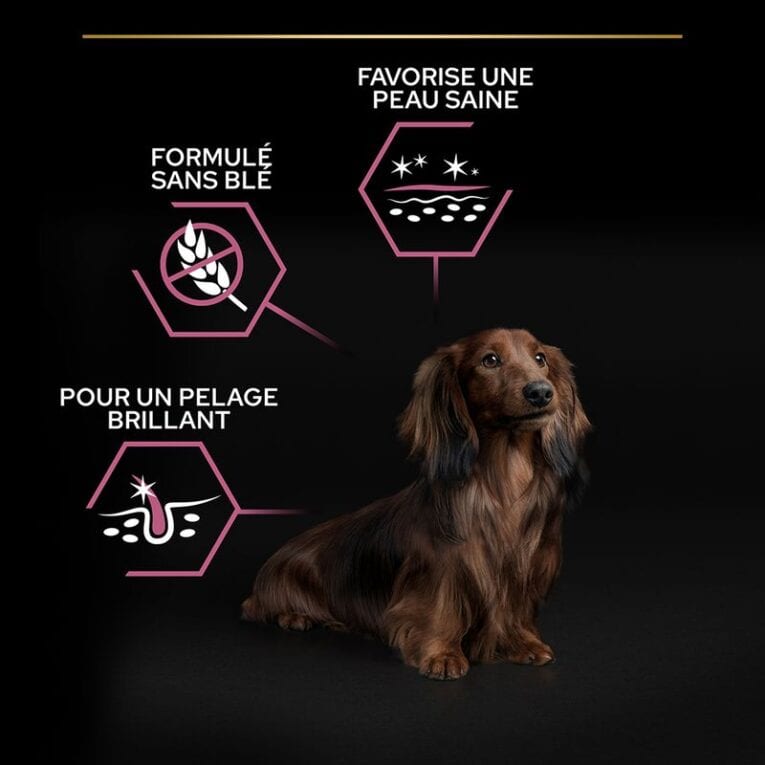 ANIMALHOUSE-Pro Plan Small And Mini Adult Sensitive Skin Avec Optiderma Saumon6