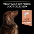 ANIMALHOUSE-Pro Plan Small And Mini Adult Sensitive Skin Avec Optiderma Saumon7