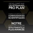 ANIMALHOUSE-Pro plan large robust puppy - poulet4