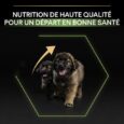 ANIMALHOUSE-Pro plan large robust puppy - poulet5