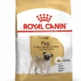 ANIMALHOUSE-Royal Canin Carlin Adulte1