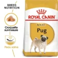 ANIMALHOUSE-Royal Canin Carlin Adulte2