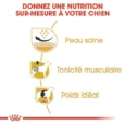 ANIMALHOUSE-Royal Canin Carlin Adulte3