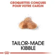 ANIMALHOUSE-Royal Canin Carlin Adulte4