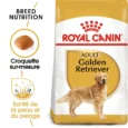 ANIMALHOUSE-Royal Canin Golden Retriever Adulte2