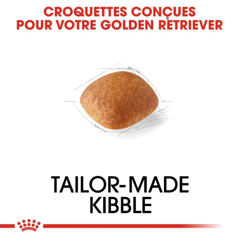 ANIMALHOUSE-Royal Canin Golden Retriever Adulte4