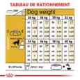 ANIMALHOUSE-Royal Canin Golden Retriever Adulte6