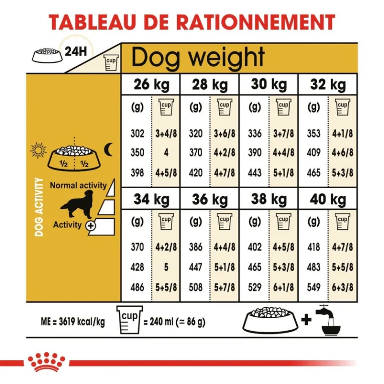 ANIMALHOUSE-Royal Canin Golden Retriever Adulte6