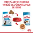 ANIMALHOUSE-Royal Canin Maxi Puppy En Sauce6