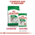 ANIMALHOUSE-Royal Canin Mini Adult en sauce1