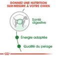 ANIMALHOUSE-Royal Canin Mini Adult en sauce3