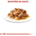 ANIMALHOUSE-Royal Canin Mini Adult en sauce5