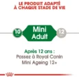 ANIMALHOUSE-Royal Canin Mini Adult en sauce6