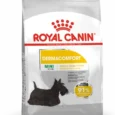 ANIMALHOUSE-Royal Canin Mini Dermacomfort1