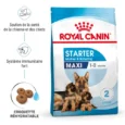 ANIMALHOUSE-Royal canin maxi starter2