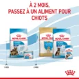ANIMALHOUSE-Royal canin maxi starter8