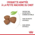 ANIMALHOUSE-Royal canin mini puppy5