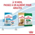 ANIMALHOUSE-Royal canin mini puppy8