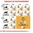 ANIMALHOUSE-Royal canin persian4