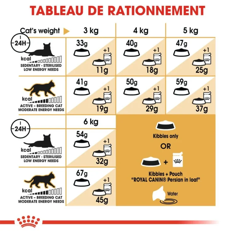 ANIMALHOUSE-Royal canin persian4
