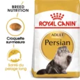 ANIMALHOUSE-Royal canin persian5