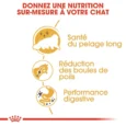 ANIMALHOUSE-Royal canin persian6