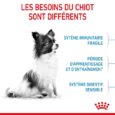 ANIMALHOUSE-Royal canin x-small puppy2