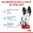 ANIMALHOUSE-Royal canin x-small puppy3