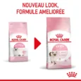 animalhouse-Royal canin kitten2