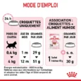 animalhouse-Royal canin kitten5
