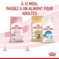 animalhouse-Royal canin kitten7