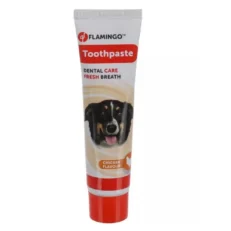 Dental Care Chien