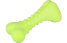 Toy Dina Bone With Mint Favour