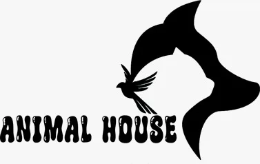 Animalerie en ligne Rabat Casablanca Marrakech Pet shop croquettes litières accessoires
